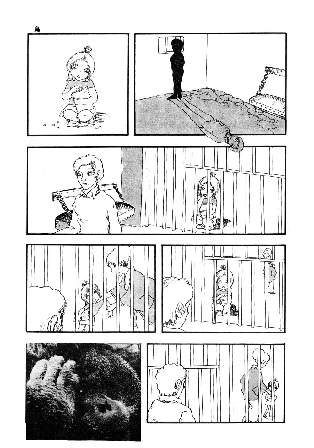 A Bird 第3页