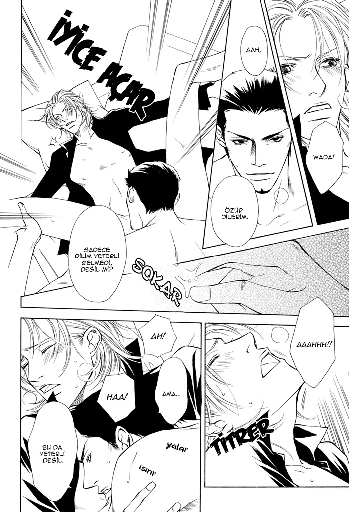 Torawarebito Oneshot 第28页